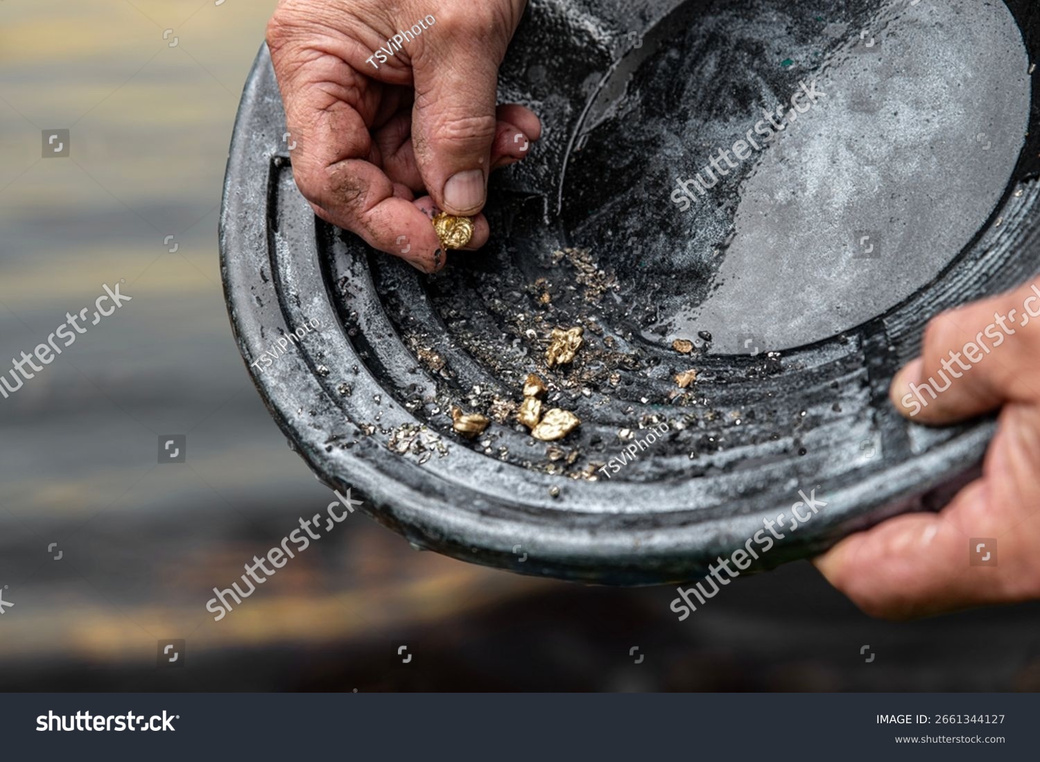 Gold panning and gold valuation process